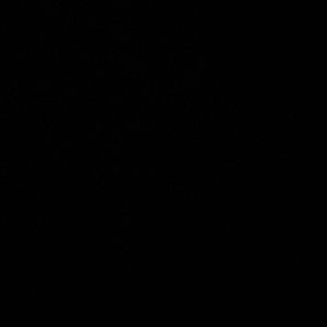 Meet your Posher, Dollie